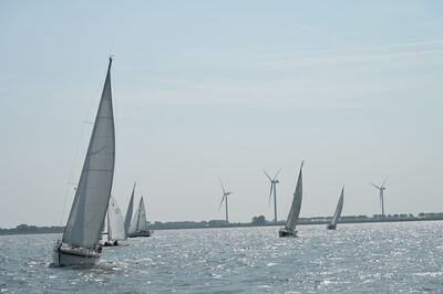 zalmtrofee-2024-60-van-125